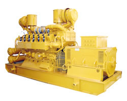 Gas Powered Generator Set